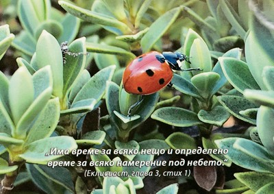 Еднолистна картичка със стих - Еклисиаст 3:1