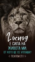 Мини картичка - Псалм 27:1 [Подаръци/Сувенири]