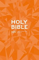 NIV Popular Bible (New International Version) Paperback