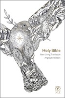NLT Holy Bible: Anglicized Edition