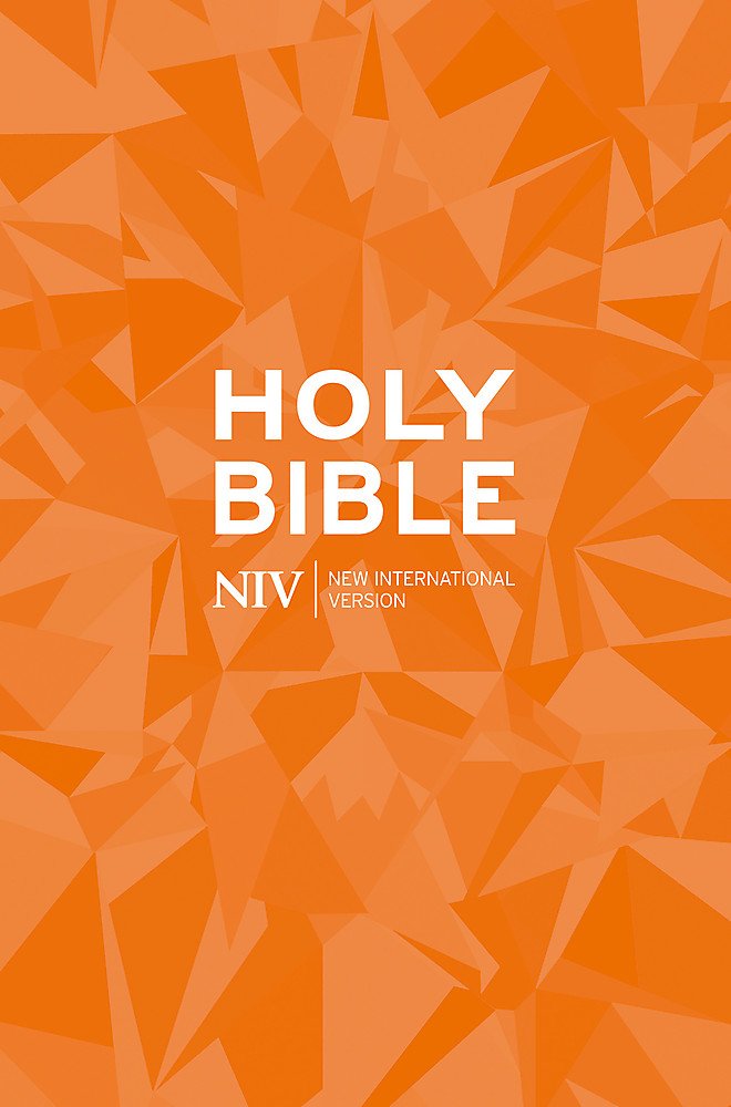 NIV Popular Bible (New International Version) Paperback