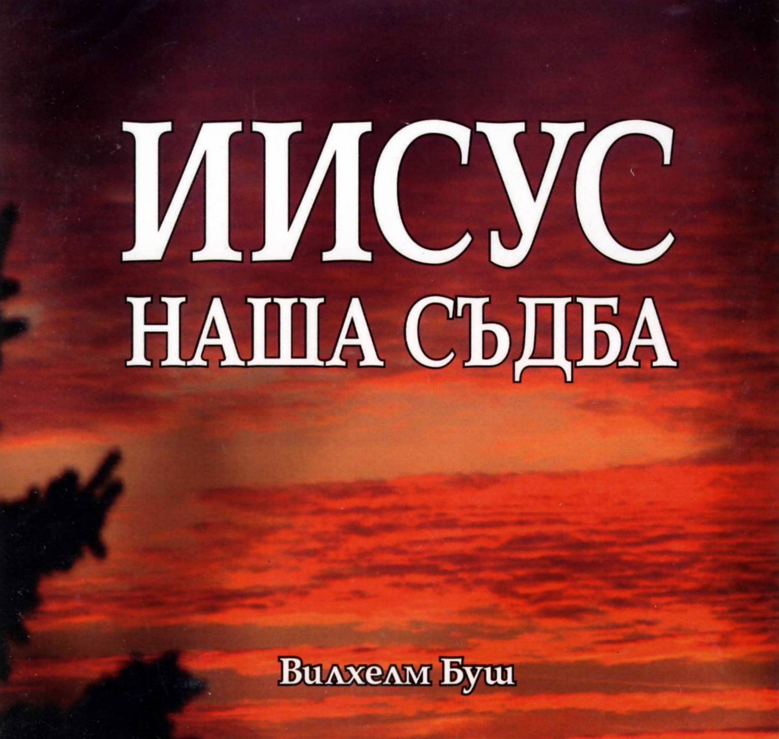 Иисус наша съдба (аудио книга)