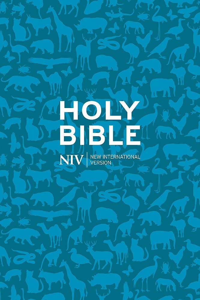 NIV Pocket Paperback Bible (New International Version)