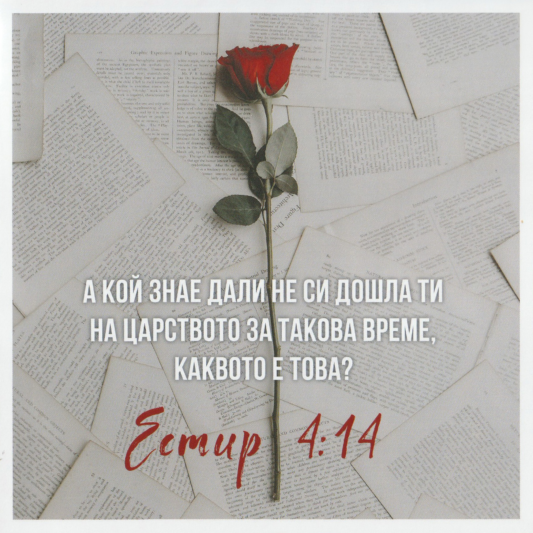 Квадратна картичка със стих - Естир 4:14 (PA009)